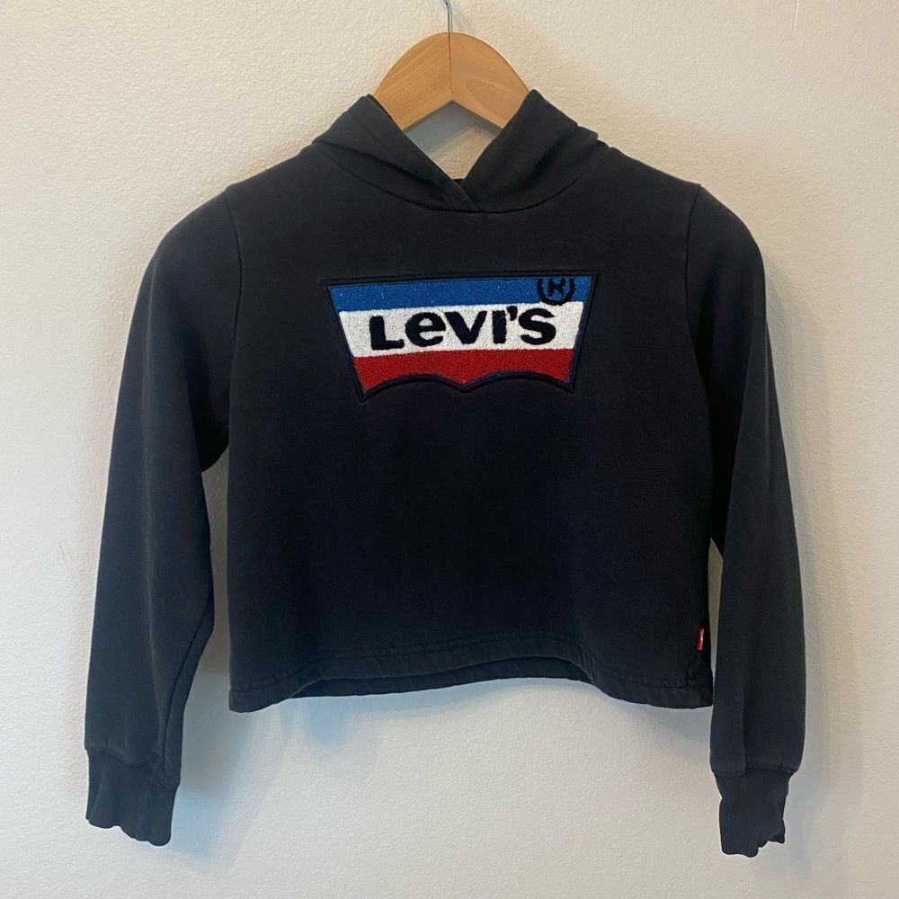 Levi’s Girls Chenille Patch Cropped Hooded Sweatshirt